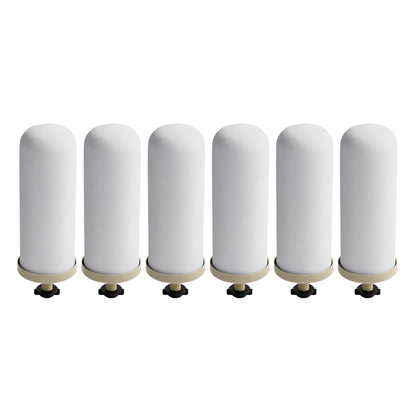 Culligan MaxClear gravity ceramic water filter 2-pack, showing clean ceramic filter elements for effective water purification.