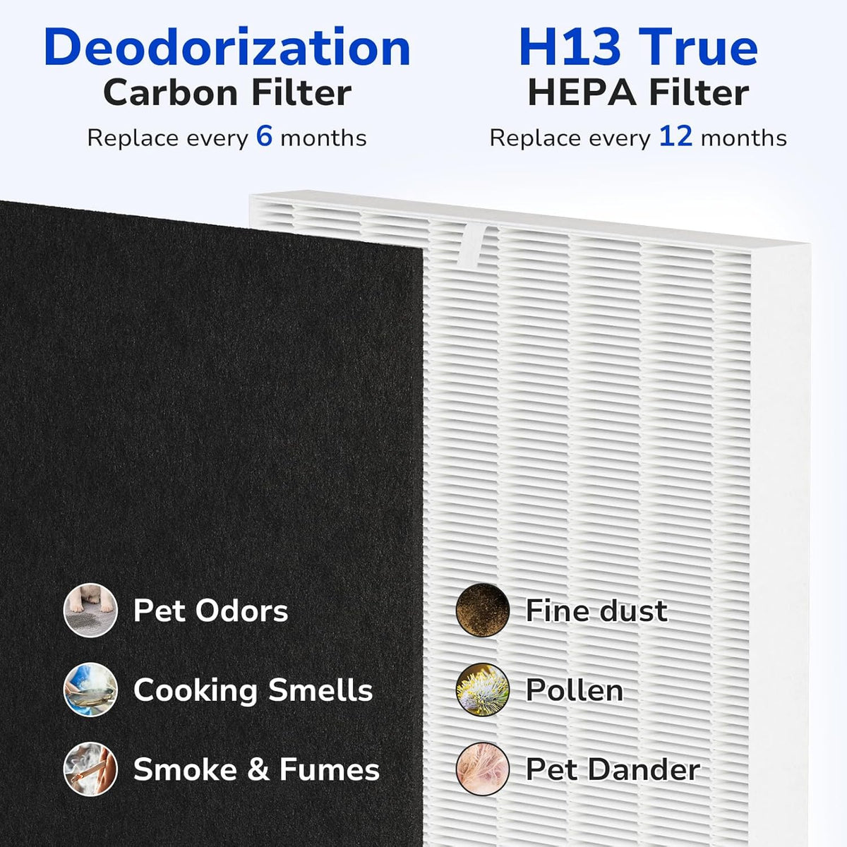 HEPA + Carbon Filter Set (2-Pack) – Compatible with Coway AP-1512HH
